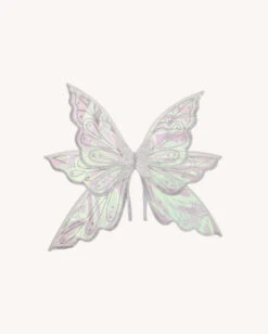 Glitterglide Fairy Wings -I Hear Raves 690287351 whatsapp image 2024 12 12 at 21 52 50 c7c89b14