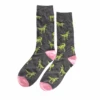 Jurassic Jammin' Socks -I Hear Raves JurassicJammin Socks