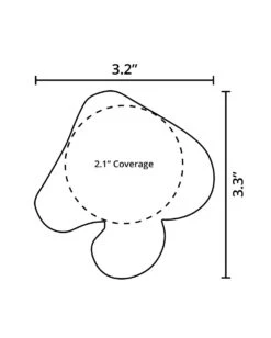 Pastease Neon Glitter Mushroom Pasties -I Hear Raves Mushroom 5e3f73cf bd9b 4451 9aca 1754f0bbcbeb