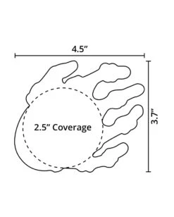Pastease Glow In The Dark Skeleton Hands Pasties -I Hear Raves PasteaseGlowInTheDarkSkeletonHandsPasties