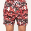 Secret Of Life Mushroom Camp Shorts